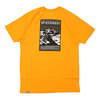 THE NORTH FACE Everest Tee ZIN ORANGE画像