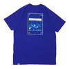 THE NORTH FACE Denali Tee LAP BLUE画像
