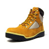 Timberland FIELD BOOT 6 F/L WP "LIMITED EDITION" BGE/BRN/SLV/NAT TB0A19QV画像