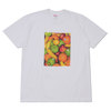 Supreme 19SS Fruit Tee WHITE画像