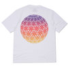 Palace Skateboards 19SS GLOBULAR T-SHIRT WHITE画像