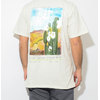 STUSSY Cactus Sky S/S Tee 1904341画像