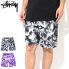 STUSSY Bleach Nylon Mountain Short 112226画像