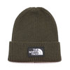 THE NORTH FACE LOGO BOX CUFFED BEANIE GREEN画像