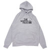 THE NORTH FACE HD STAYFRAME PO HOODIE LIGHT GRE画像