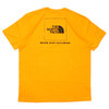 THE NORTH FACE RED BOX HEAVYWEIGHT TEE ZINNIA ORANGE画像