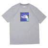 THE NORTH FACE NYC WOODCUT TEE GREY画像