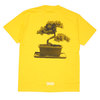 ON AIR Judge Not S/SL Tee YELLOW画像