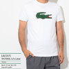 LACOSTE TH7085L S/S Crew画像