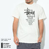 STUSSY Tour Pigment Dyed S/S Tee 1904401画像
