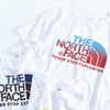 THE NORTH FACE Dot Gradation S/S Tee NT31990画像