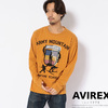 AVIREX ARMY MOUNTAIN SCHOOL T-SHIRT 6193475画像
