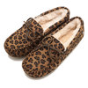 emu AMITY PLINT CHESTNUTS LEOPARD W11367画像