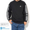 adidas Originals New Icon Crew Sweat ED6121/GDE26/FW19Q4画像