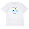 Supreme 19FW Heaven and Earth Tee ASH GREY画像