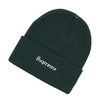 Supreme × BEN DAVIS 19FW Beanie GREEN画像