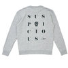 Suspicious Antwerp The Playground Sweater GRAYxGREEN画像
