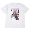 Supreme 19FW American Picture Tee ASH GREY画像