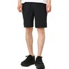 DESCENTE ALLTERRAIN REGULAR FIT STRETCH SHORTS DAMPGD92U画像