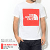 THE NORTH FACE Colored Big Logo S/S Tee NT32043画像