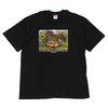 Supreme 20SS Masterpieces Tee画像