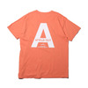 afield out ALPINE T-SHIRT Terracotta画像