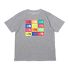 THE NORTH FACE S/S COLORED HALF DOME LOGOS TEE MIX GREY NT32049画像