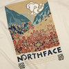 THE NORTH FACE S/S GRAPHIC CAMP TEE VINTAGE WHITE NT32050画像