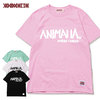 ANIMALIA LOGO-Calligraphy AN20SU2-TE16画像