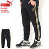 PUMA TFS Worldhood Track Pant Limited 599290画像