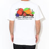 STUSSY Fresh Fruit S/S Tee 1904542画像