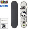Blind Skateboards Reaper Chain Link 7.375in 10511543Y画像