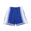 Mitchell & Ness NBA ALTERNATE SWINGMAN SHORTS LAKERS 96-97 ROYAL BLUE SMSHGS18030-LAL画像