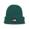 THE NORTH FACE CAPPUCHO LID EVER GREEN NN42035画像