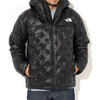 THE NORTH FACE 20FW Polaris Insulated Hoodie JKT NY82002画像