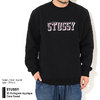 STUSSY 3D Collegiate Applique Crew Sweat 118403画像