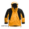 THE NORTH FACE 1994 RETRO MOUNTAIN LIGHT FUTURELIGHT JACKET NF0A4R52画像