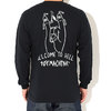 TOY MACHINE Welcome To Hell L/S Tee TMPBLT6画像