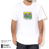STUSSY Irises S/S Tee 1904624画像