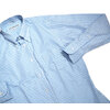 INDIVIDUALIZED SHIRTS L/S STANDARD FIT B.D. GINGHAM CHECK SHIRTS light blue画像