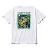 Kinetics ANT T-SHIRT WHITE KS21T03-WHT画像