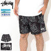 STUSSY Roses Water Short 113132画像