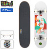 Blind Skateboards Psychedelic Girl FP Premium 7.75in 10511889画像