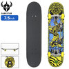 Darkstar Skateboards Arrow FP 7.5in 10512322画像