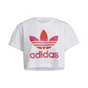 adidas Marimekko CROP TEE WHITE/VIVID RED/TEAM REAL MAGENTA H20482画像