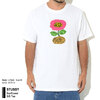 STUSSY Sunflower S/S Tee 1904693画像
