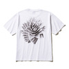 SOLID ROSE T-SHIRT WHITE SA-0116画像