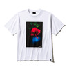 SOLID HIBISCUS GRAFIC T-SHIRTS WHITE SA-0122画像