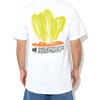 STUSSY Desert Bloom S/S Tee 1904686画像