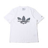 adidas BOLD TEE HL WHITE H41402画像
